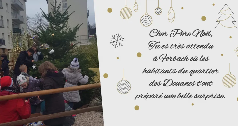Forbach : leur beau sapin, roi du quartier !
