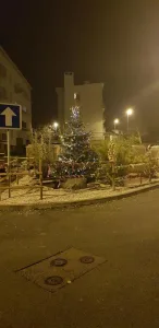 A Forbach, les habitants et le personnel de Moselis ont installé un sapin de Noël à l’entrée du quartier des Douanes